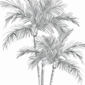 COCOS studiomalek