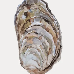 CRASSOSTREA studiomalek