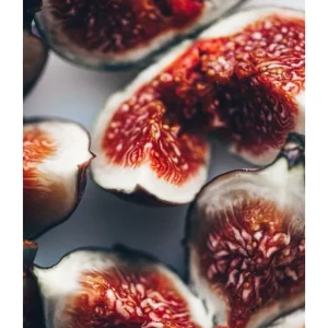 FIGS studiomalek