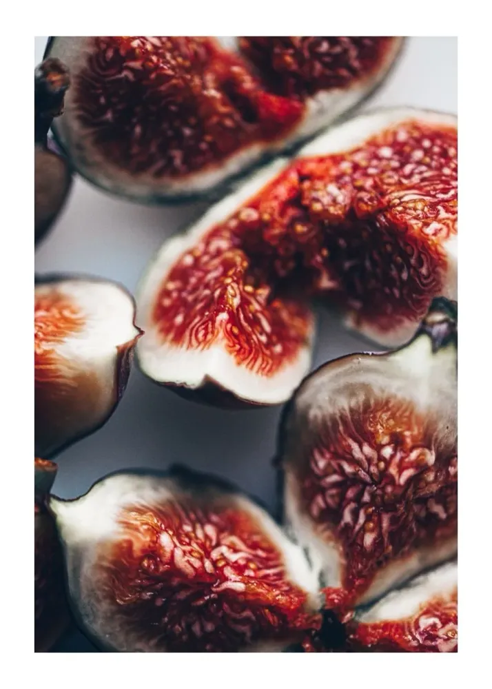 FIGS studiomalek