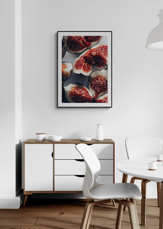FIGS studiomalek
