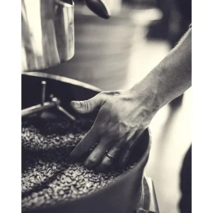 GRANOS DE CAFE studiomalek
