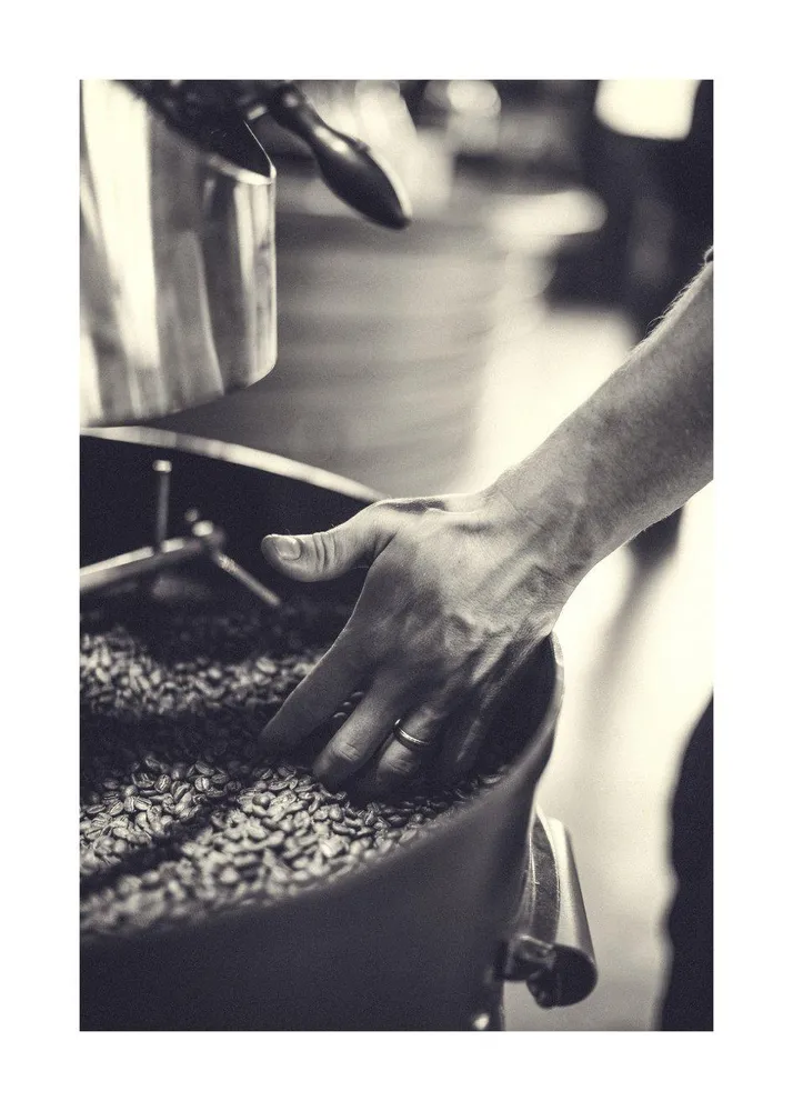 GRANOS DE CAFE studiomalek
