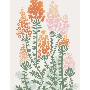 HUIT FLEURS studiomalek