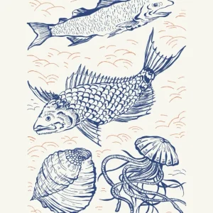 JAPAN SEAFOOD studiomalek