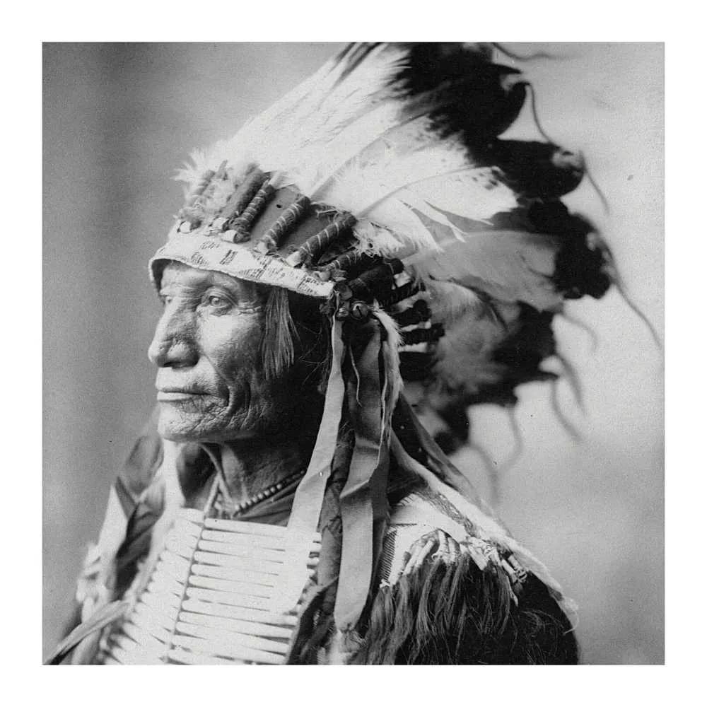 NATIVO AMERICANO studiomalek