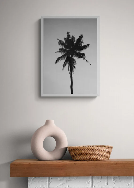 PALMERA studiomalek
