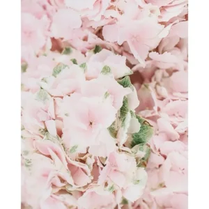 PINK FLOWER BOUQUET studiomalek