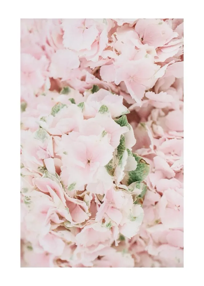 PINK FLOWER BOUQUET studiomalek