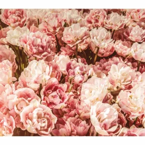 PINK GARDEN studiomalek