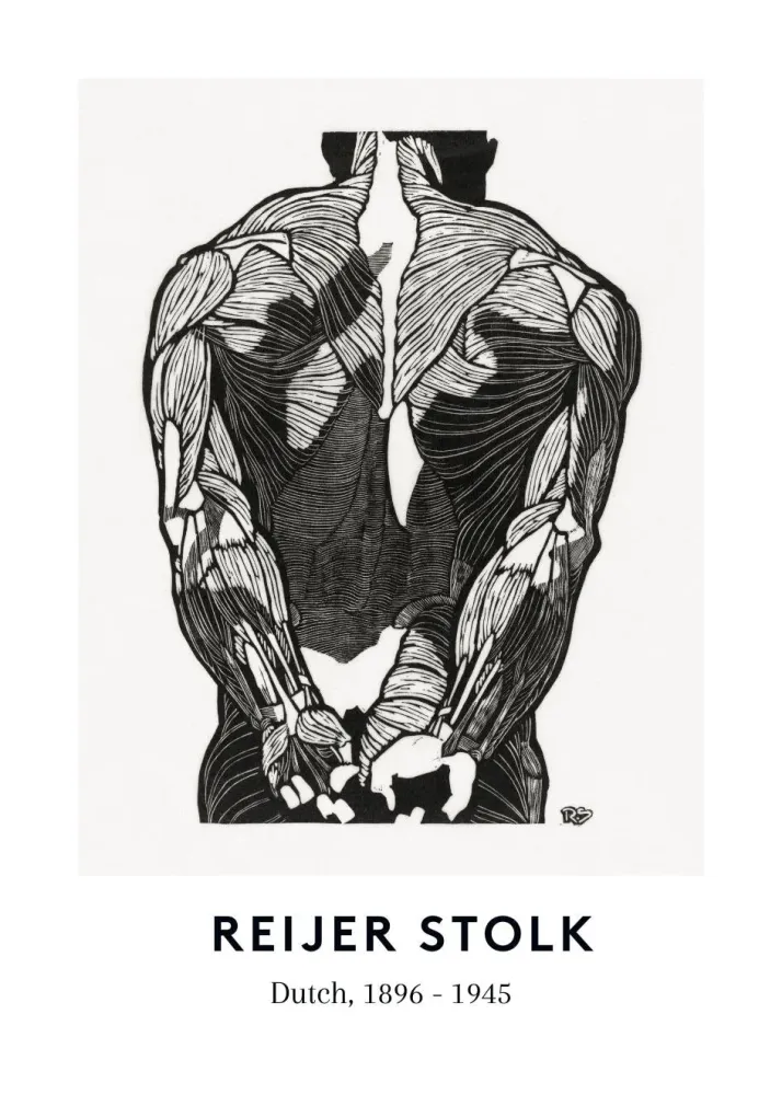 REIJER STOLK - MANS BACK studiomalek