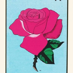 LA ROSA studiomalek
