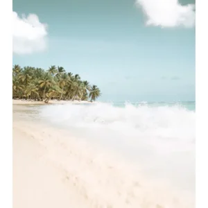 SAONA ISLAND studiomalek