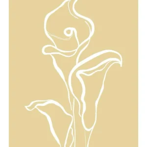 TRES LILY studiomalek