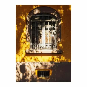 VENTANA MEXICANA studiomalek