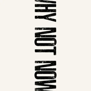 WHY NOT NOW NO.2 studiomalek