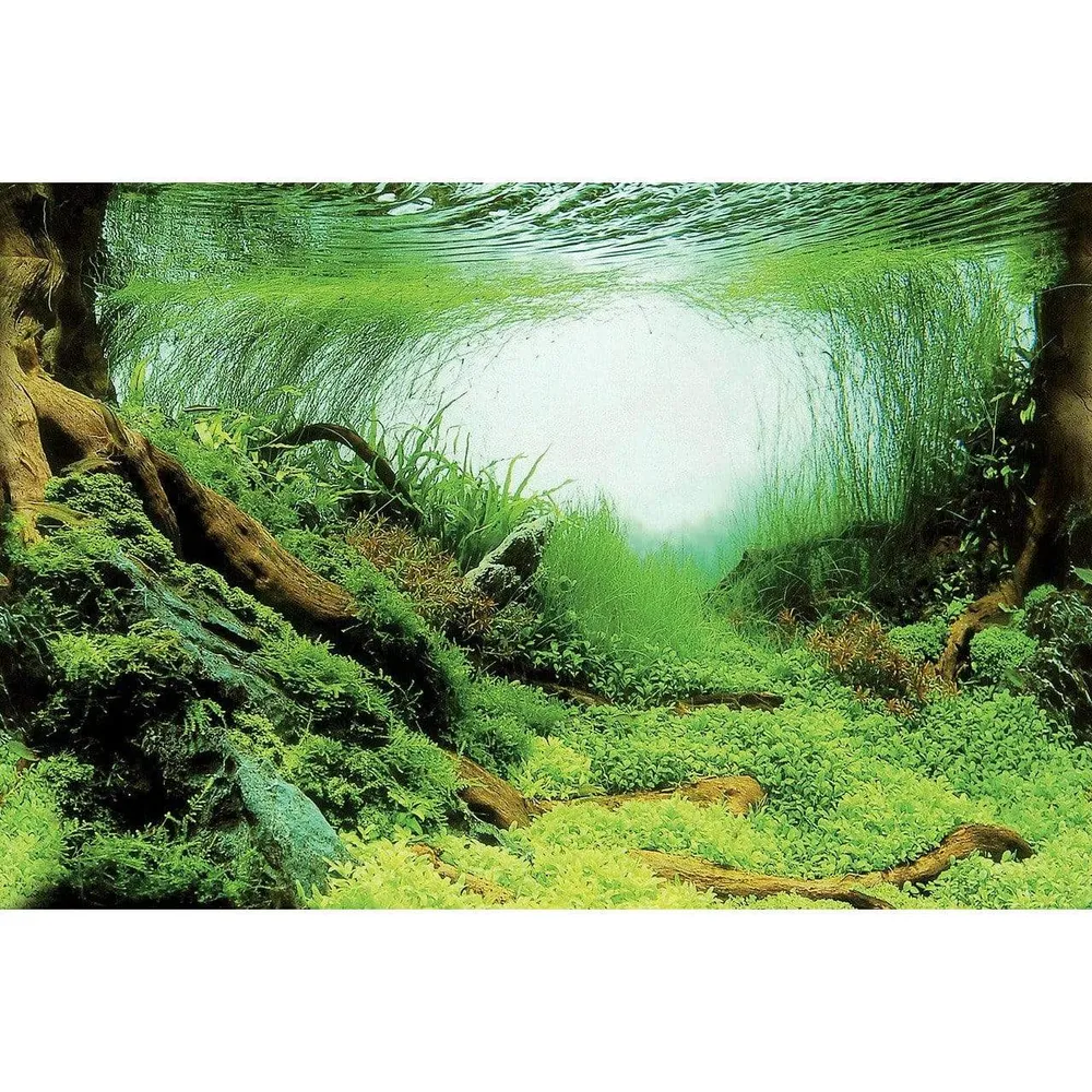 SF Deco Posters C6 Raíces y Plantas 150X61 Cm Superfish