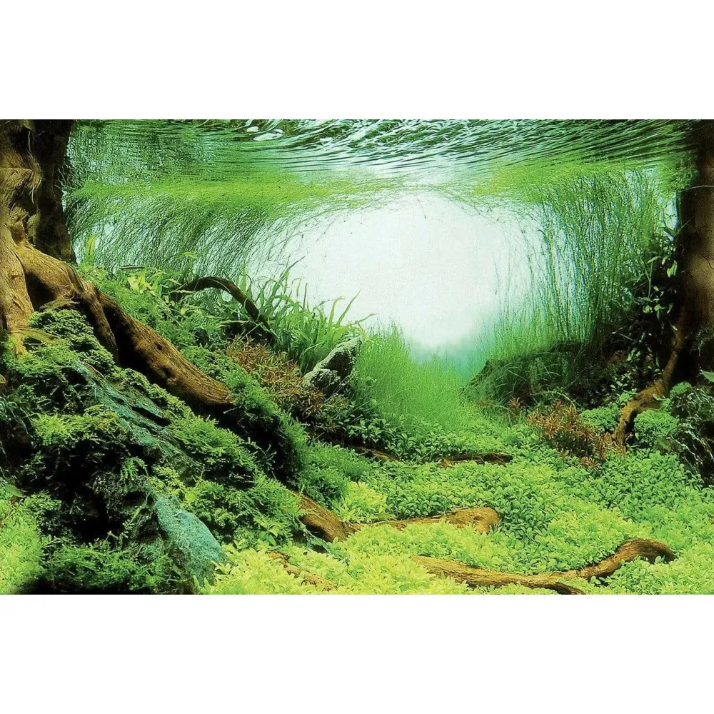SF Deco Posters C2 Raíces y Plantas 60X49 Cm Superfish