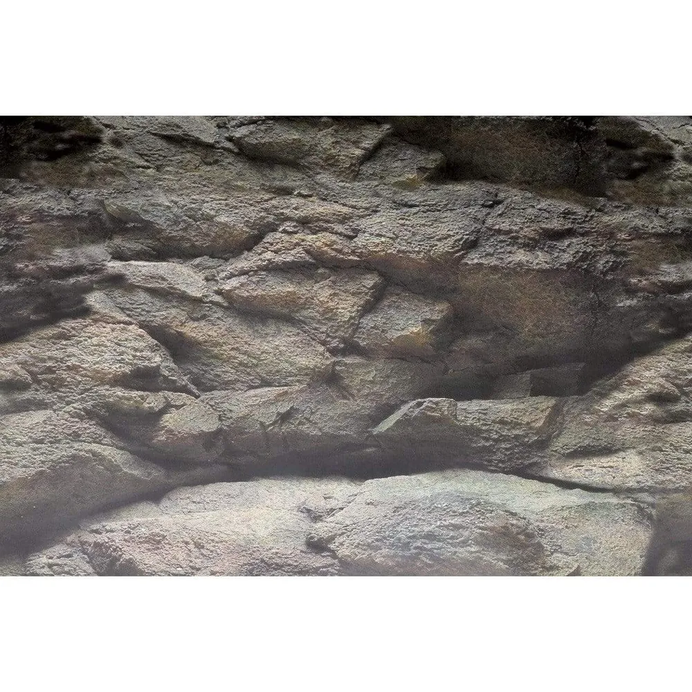 SF Deco Posters B3 Rocas y Plantas 100X49 Cm Superfish