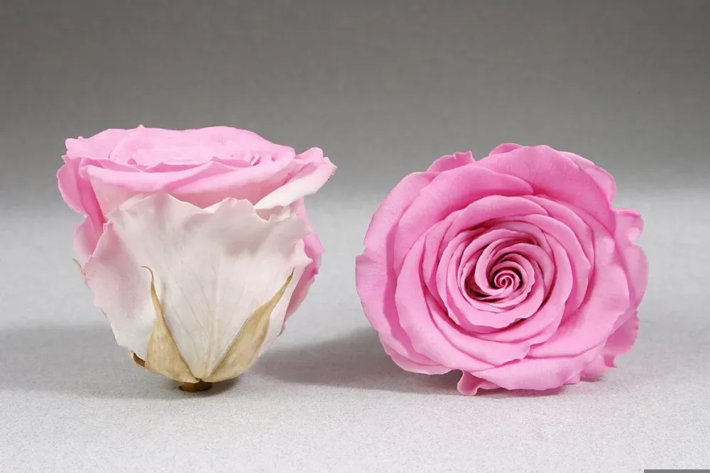 Caja Negro Grande de Rosas Frescas Rosas The Prestige Roses Madrid