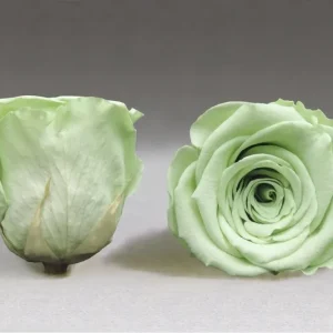 Caja Negro Mediano de Rosas Eternas Verdes Light The Prestige Roses Madrid