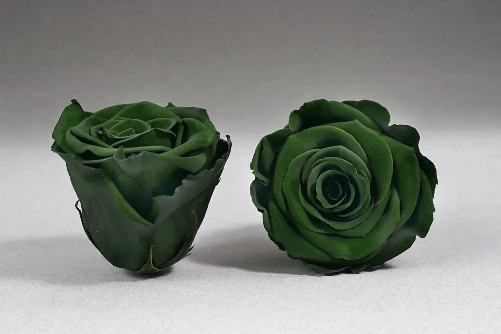 Caja Negro Mediano de Rosas Eternas Verdes Light The Prestige Roses Madrid