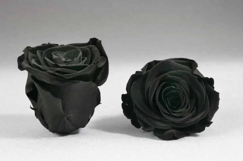 Caja Negro Mini de Rosas Eternas Negros The Prestige Roses Madrid