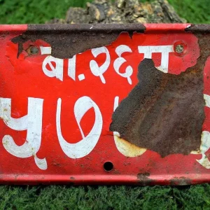 Placa de matrícula nepalí 8" x 5,5" Tiger TIger