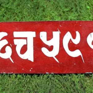 Placa de matrícula nepalí 17" x 4,5" Tiger TIger