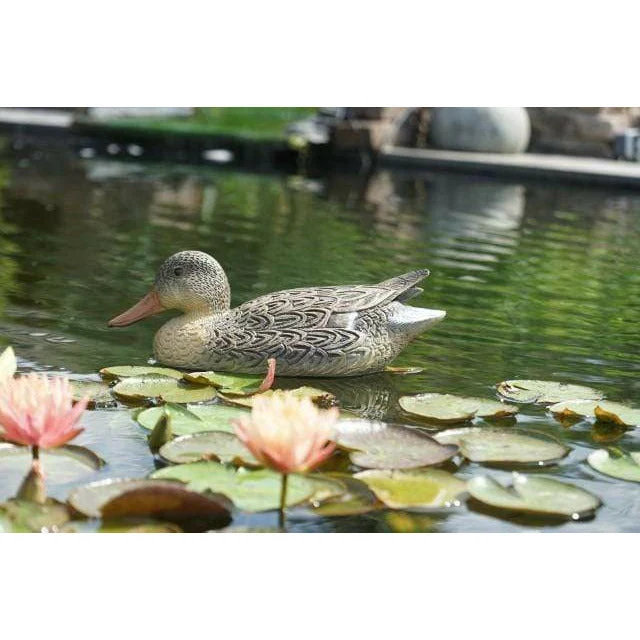 Pato azulón hembra - Pato flotante decorativo Ubbink
