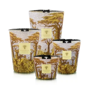 VELAS BAOBAB - SACRED TREE COCODY Max