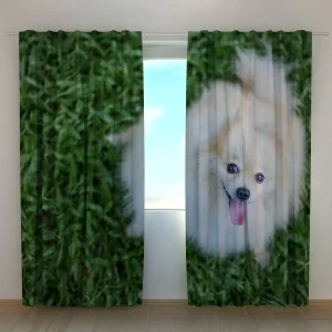 Cortina Perro Pomerania feliz Wellmira España