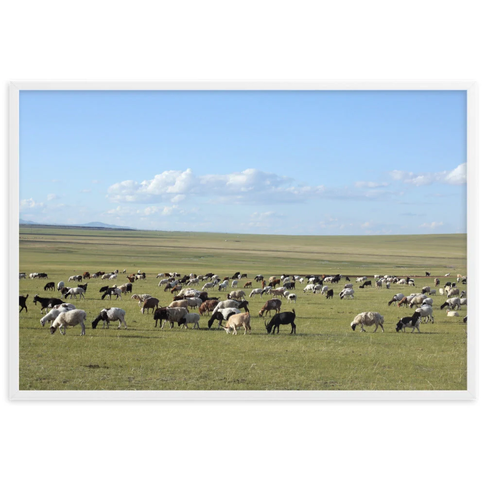 Póster - Rebaño de ovejas pastan en la estepa de Mongolia Young Han Song