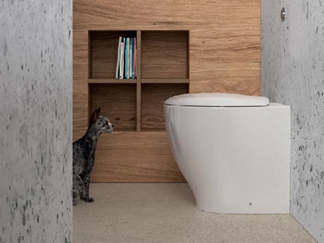 Desengrasante WC filo muro con profundidad reducida - Domus Falerii Mascalzone con asiento Tierno Close