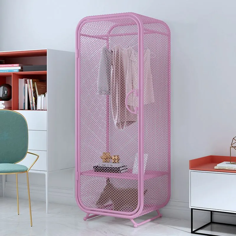 Armario de almacenamiento moderno de acero con 2 puertas y 2 estantes y barra para ropa Oro Clearhalo