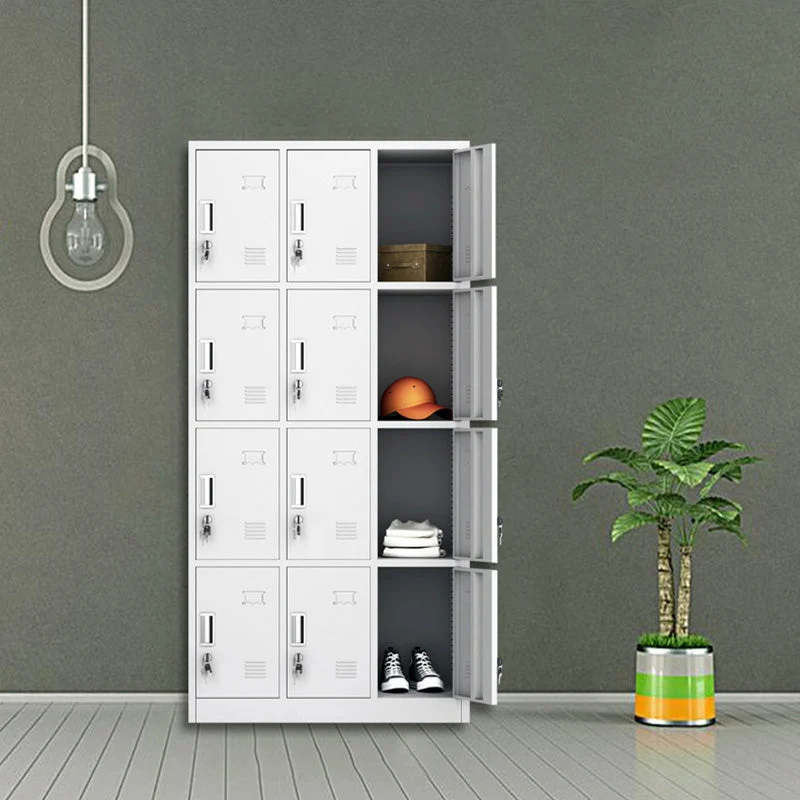 Gabinete de almacenamiento con puerta con bisagras para el hogar Gabinete de metal contemporáneo Clearhalo