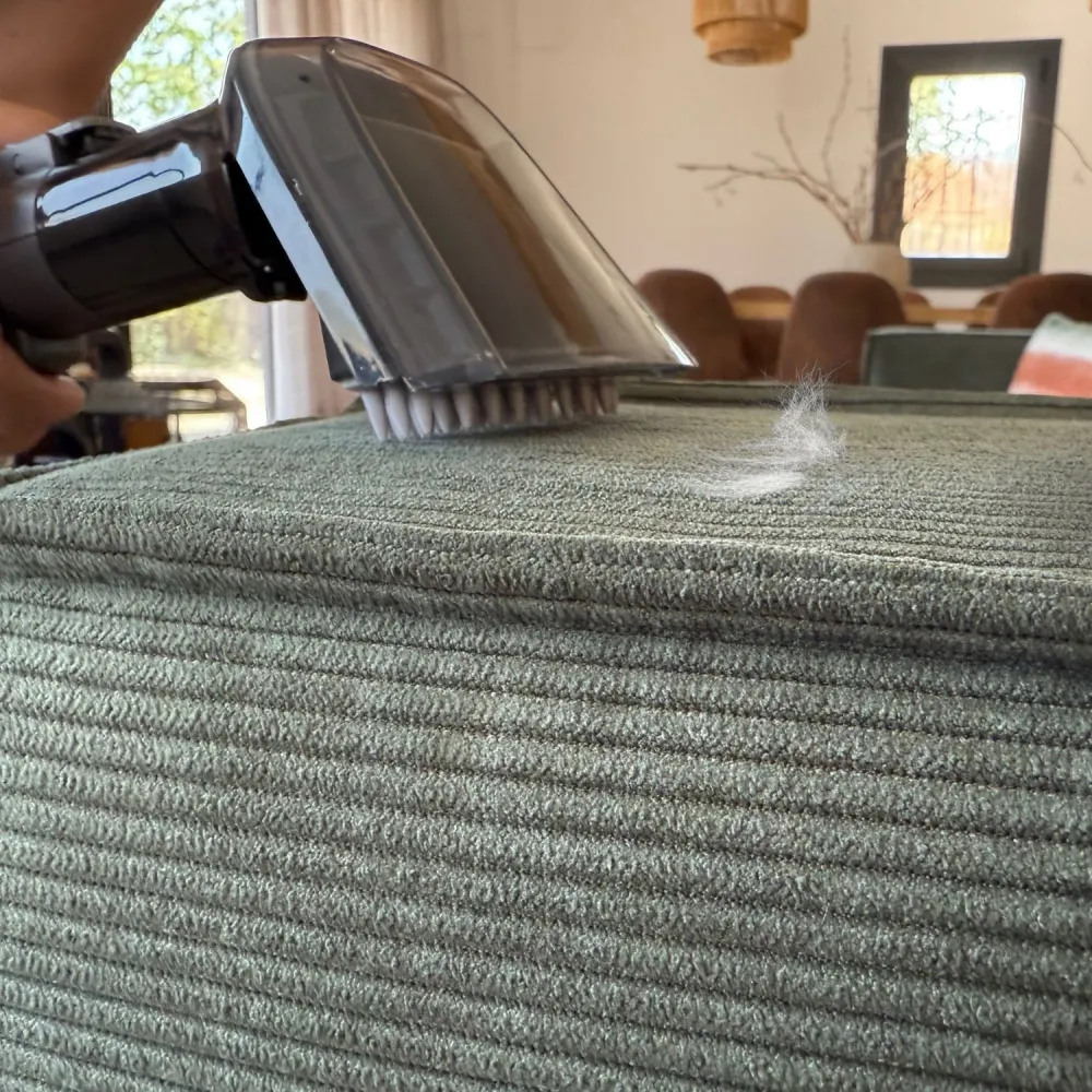 Multiusos Cleany Carpet 600 - FP