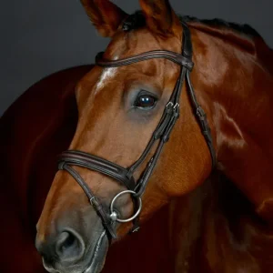 Comfitec Opulux Plain Padded Hanoverian Flash Bridle Dark Chocolate C