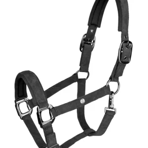 St. Gallen Halter Ébano C