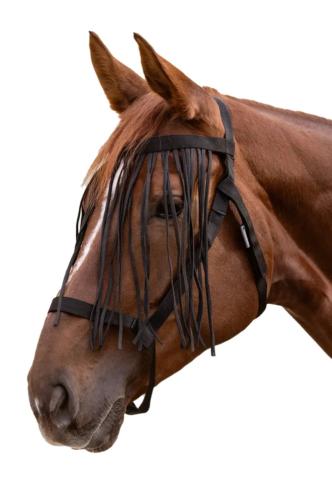 Grazing Halter Fly Fringe Carbón C