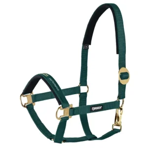 Halter sliding Buckle Racinggreen C