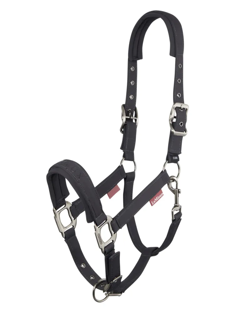 Soft Shell Headcollar Cinder C