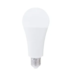 200601012 LAMPARA COMÚN LED E27 21W 6000K A70 GSC