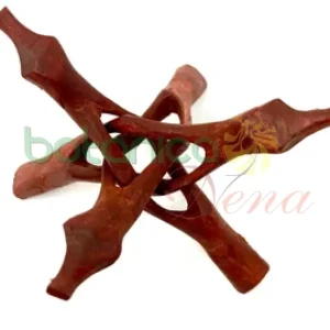 de madera Stand ( Base jicara en madera) 6" con Estuche de Almacenamiento
