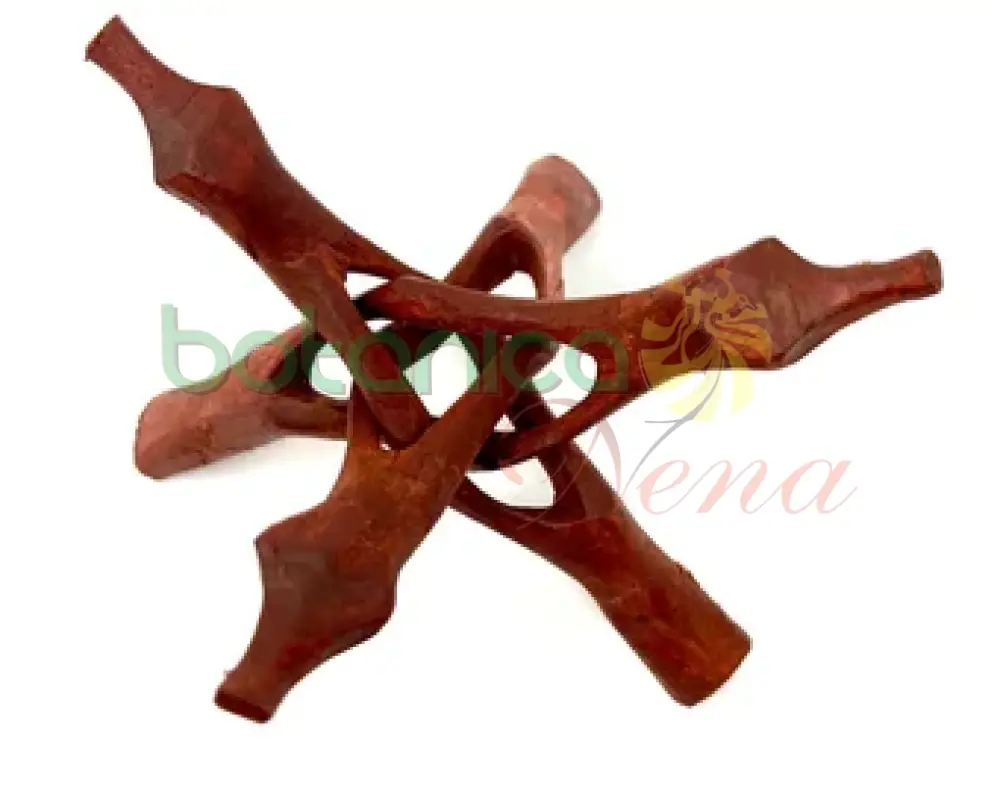 de madera Stand ( Base jicara en madera) 6" con Estuche de Almacenamiento