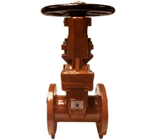6" Nominal Flanged OS/Y 300 PSI Resilient Seated Gate Valve 9610F6