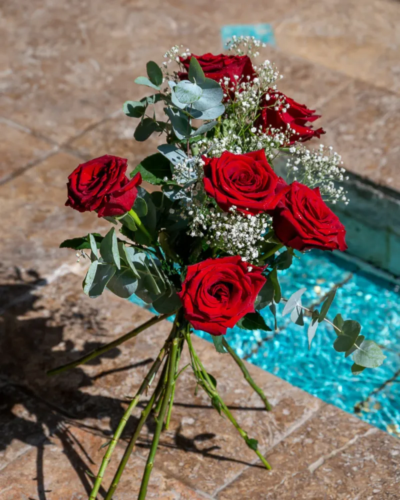Pilas Alcalinas Ramo 6 Rosas Rojas Variadas