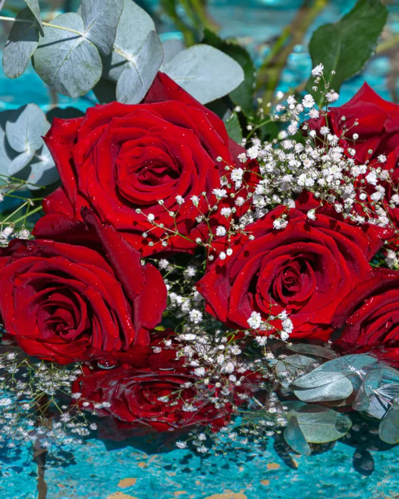 Pilas Alcalinas Ramo 6 Rosas Rojas Variadas