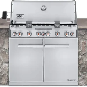 Pilas de Baterí Asador de gas empotrable summit s-660