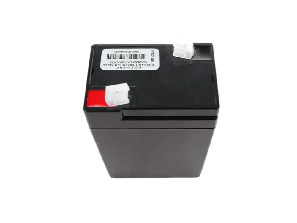 Recargables Premium BATERIA SECA 6V 5A